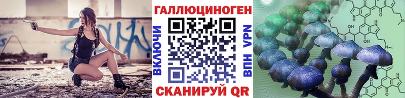 купить сайты блэк спрут ссылки Псилоцибиновые грибы Magic Shrooms Долгопрудный