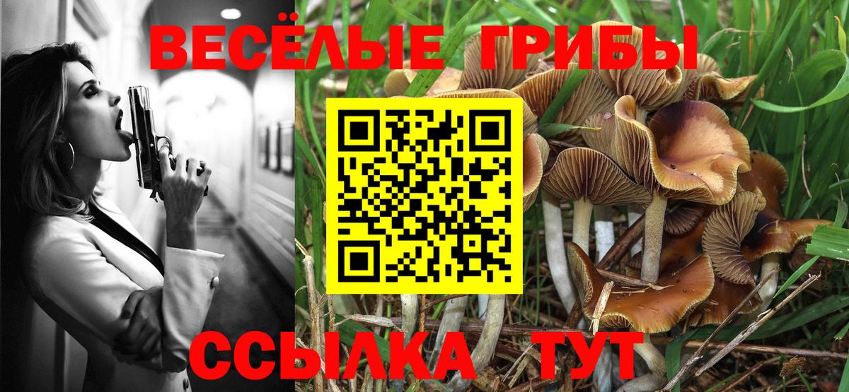 Галлюциногенные грибы Cubensis Долгопрудный